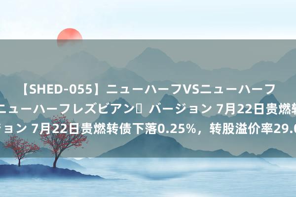 【SHED-055】ニューハーフVSニューハーフ 不純同性肛遊 2 魅惑のニューハーフレズビアン・バージョン 7月22日贵燃转债下落0.25%，转股溢价率29.03%