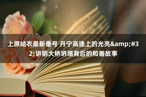 上原結衣最新番号 丹宁高速上的光亮&#32;讲明大桥坍塌背后的和善故事