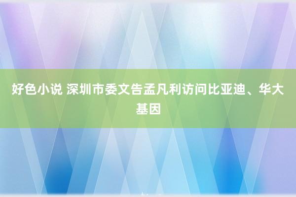 好色小说 深圳市委文告孟凡利访问比亚迪、华大基因