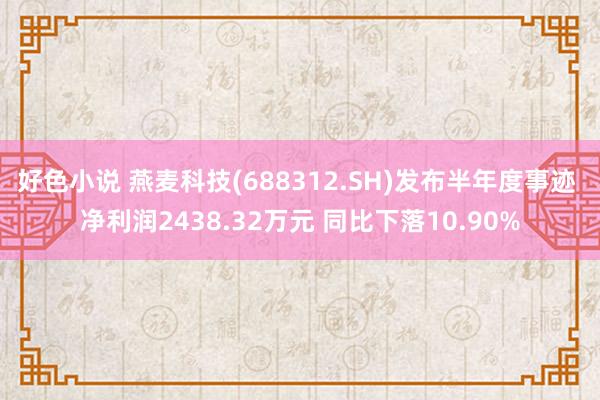 好色小说 燕麦科技(688312.SH)发布半年度事迹 净利润2438.32万元 同比下落10.90%