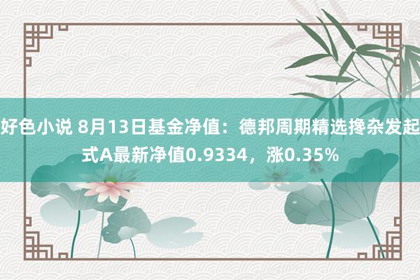 好色小说 8月13日基金净值：德邦周期精选搀杂发起式A最新净值0.9334，涨0.35%