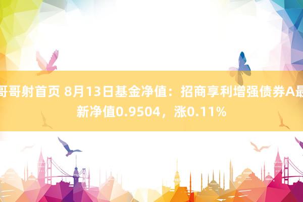 哥哥射首页 8月13日基金净值：招商享利增强债券A最新净值0.9504，涨0.11%