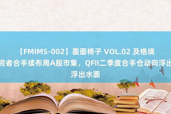 【FMIMS-002】覆面椅子 VOL.02 及格境外投资者合手续布局A股市集，QFII二季度合手仓动向浮出水面