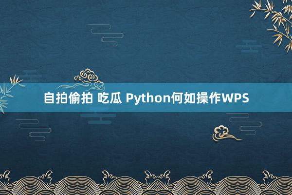 自拍偷拍 吃瓜 Python何如操作WPS