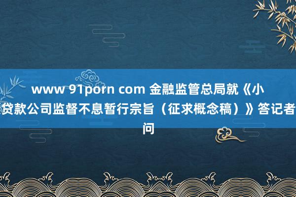 www 91porn com 金融监管总局就《小额贷款公司监督不息暂行宗旨（征求概念稿）》答记者问