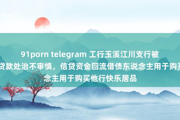 91porn telegram 工行玉溪江川支行被罚30万元：因贷款处治不审慎，信贷资金回流借债东说念主用于购买他行快乐居品