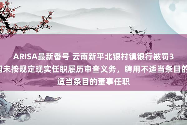 ARISA最新番号 云南新平北银村镇银行被罚30万元：因未按规定现实任职履历审查义务，聘用不适当条目的董事任职