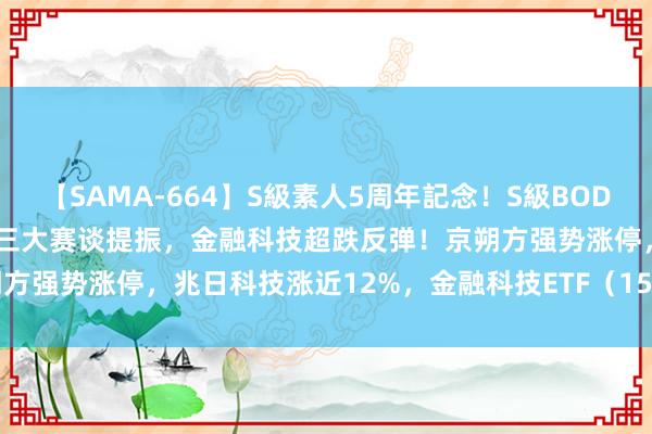 【SAMA-664】S級素人5周年記念！S級BODY中出しBEST30 8時間 三大赛谈提振，金融科技超跌反弹！京朔方强势涨停，兆日科技涨近12%，金融科技ETF（159851）回升超2%