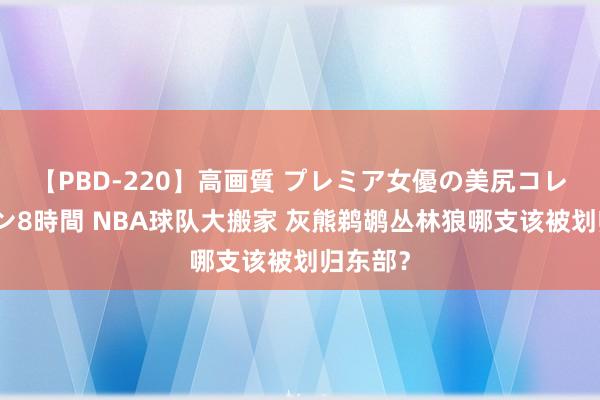 【PBD-220】高画質 プレミア女優の美尻コレクション8時間 NBA球队大搬家 灰熊鹈鹕丛林狼哪支该被划归东部？