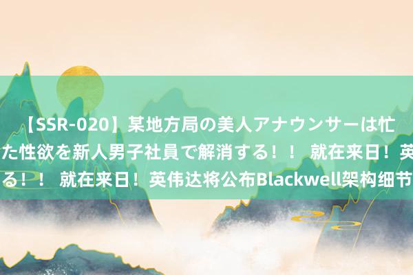 【SSR-020】某地方局の美人アナウンサーは忙し過ぎて溜まりまくった性欲を新人男子社員で解消する！！ 就在来日！英伟达将公布Blackwell架构细节