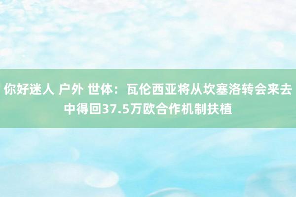 你好迷人 户外 世体：瓦伦西亚将从坎塞洛转会来去中得回37.5万欧合作机制扶植