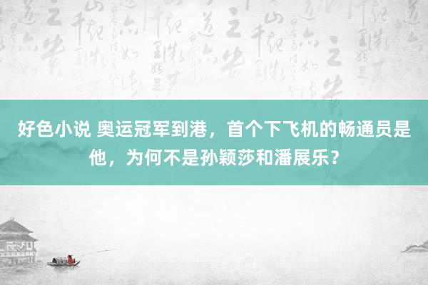 好色小说 奥运冠军到港，首个下飞机的畅通员是他，为何不是孙颖莎和潘展乐？