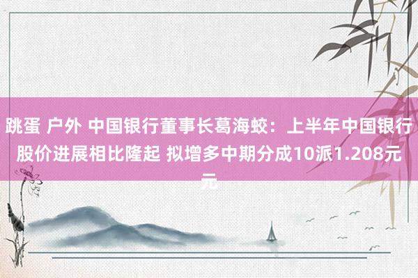 跳蛋 户外 中国银行董事长葛海蛟：上半年中国银行股价进展相比隆起 拟增多中期分成10派1.208元