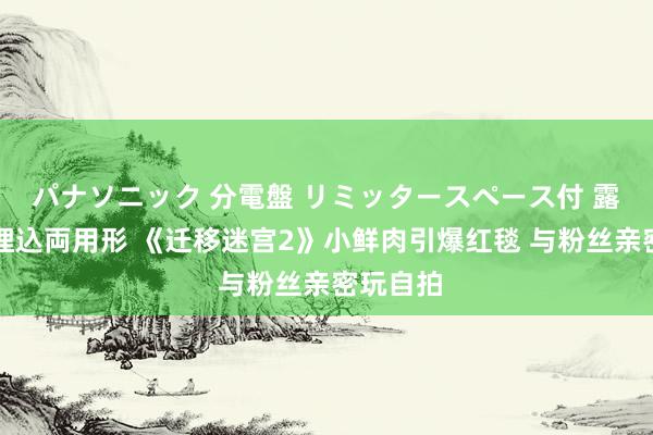 パナソニック 分電盤 リミッタースペース付 露出・半埋込両用形 《迁移迷宫2》小鲜肉引爆红毯 与粉丝亲密玩自拍