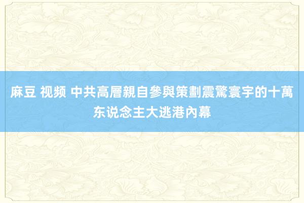 麻豆 视频 中共高層親自參與策劃震驚寰宇的十萬东说念主大逃港內幕